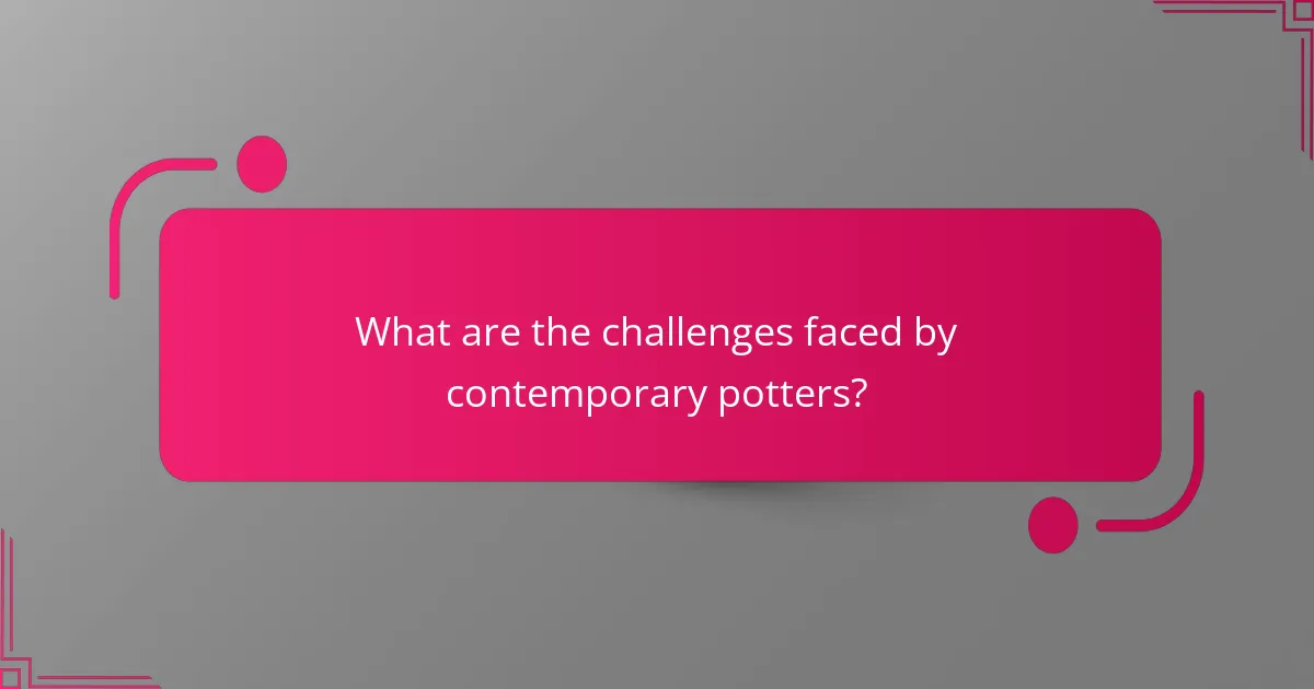 What are the challenges faced by contemporary potters?