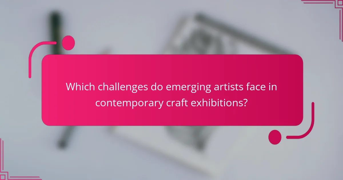 Which challenges do emerging artists face in contemporary craft exhibitions?
